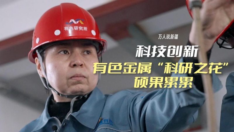 容器编排网络配置开源项目推荐：选择与优化之道