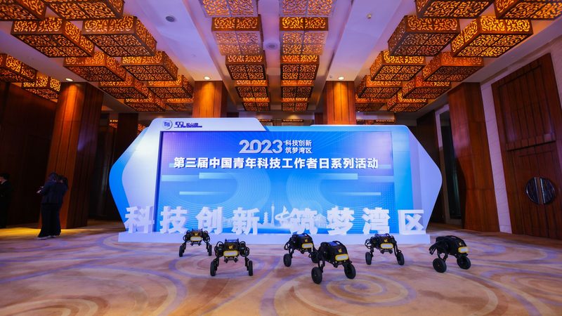 轻量级AI应用工具：如何选择适合你的解决方案